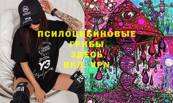 мдпв Армянск