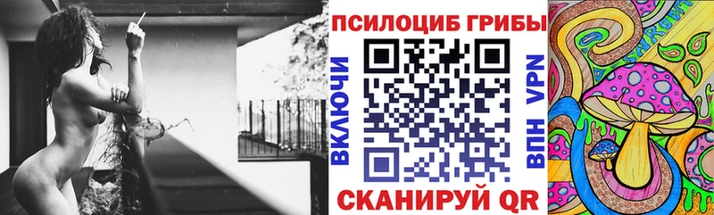 blacksprut tor  Иноземцево  Галлюциногенные грибы Cubensis 